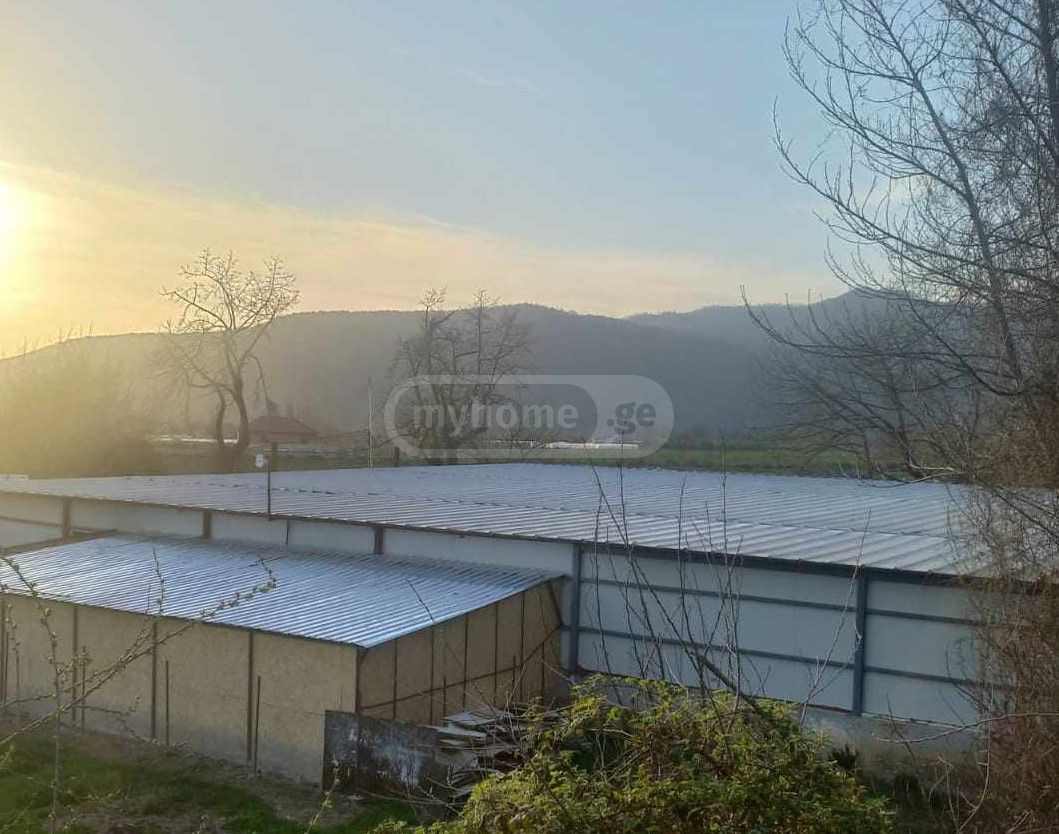 იყიდება მიწა / ნაკვეთი Lagodekhis Munitsipalitetshiში view 2
