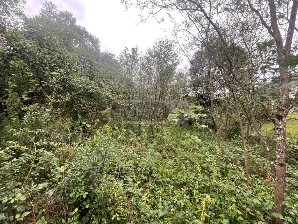 იყიდება Agricultural Plot In Zugdidi Municipalityში view 3