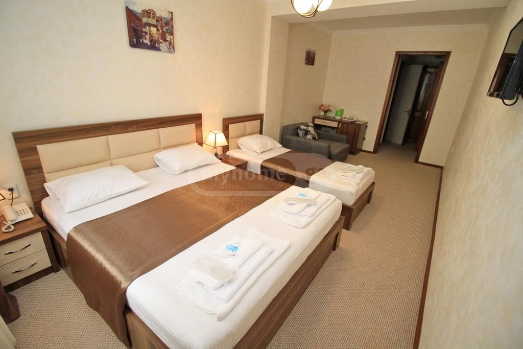 For Sale 10+ Room Sastumro Sololakshi view 10
