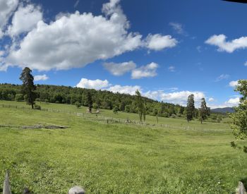 Agricultural plot for sale in bakuriani