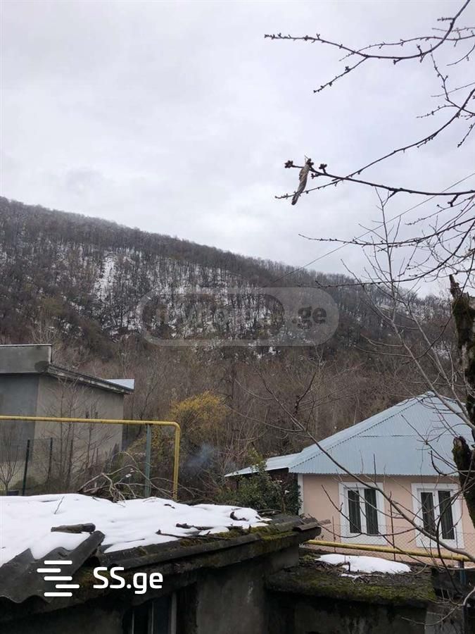 Agricultural Plot For Sale In Old Tbilisi, In Lagodekhi view 5