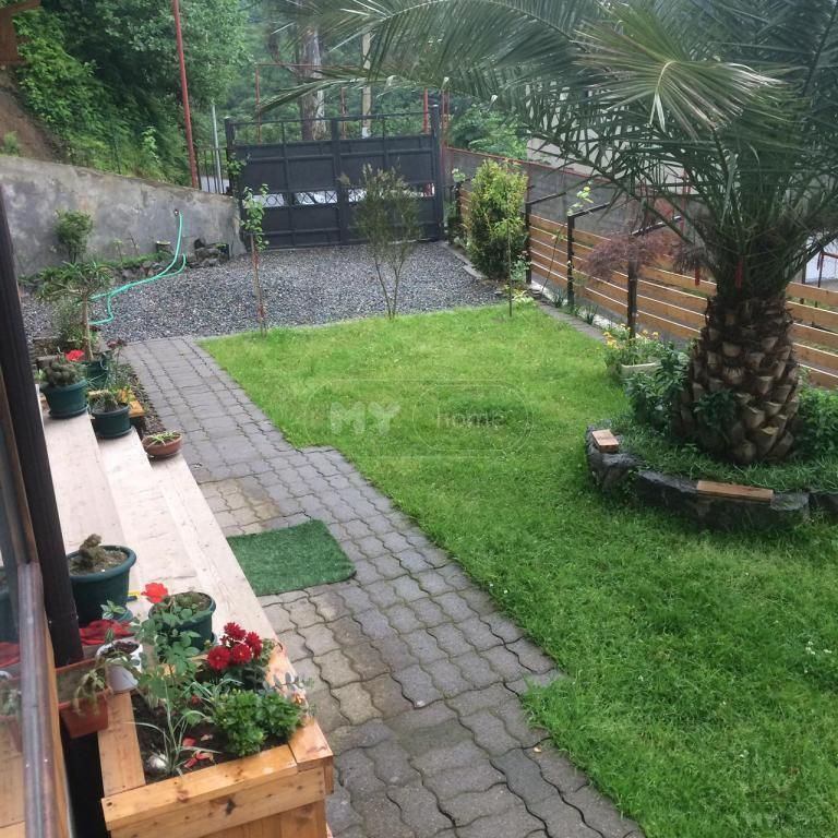 3 Room Country House Daily Rent In Makhinjauri, In Batumi view 1