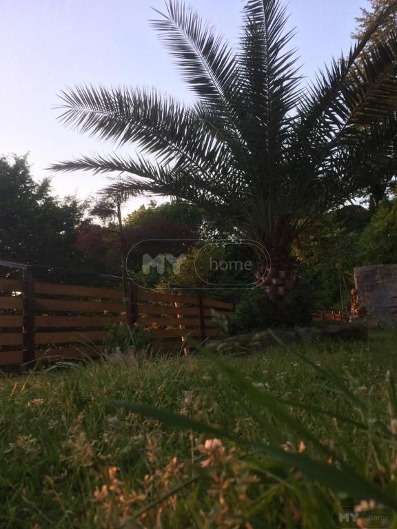 3 Room Country House Daily Rent In Makhinjauri, In Batumi view 2