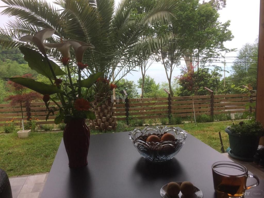 3 Room Country House Daily Rent In Makhinjauri, In Batumi view 5
