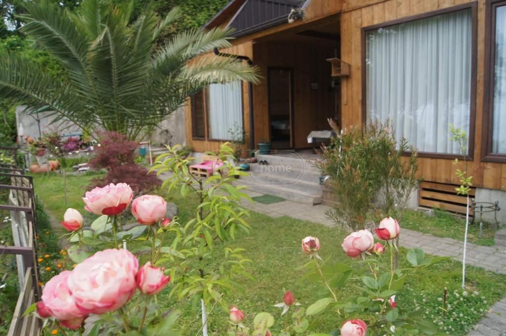 3 Room Country House Daily Rent In Makhinjauri, In Batumi view 6