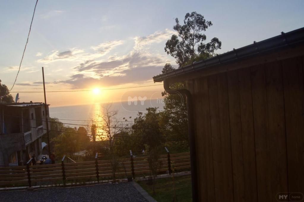 3 Room Country House Daily Rent In Makhinjauri, In Batumi view 7