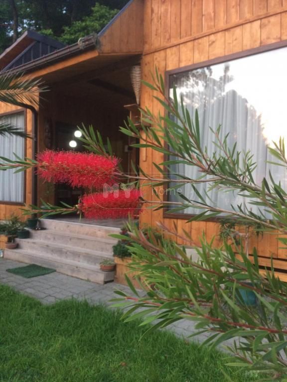 3 Room Country House Daily Rent In Makhinjauri, In Batumi view 8