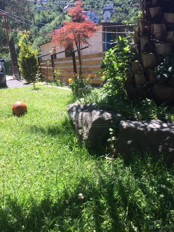 3 Room Country House Daily Rent In Makhinjauri, In Batumi view 9