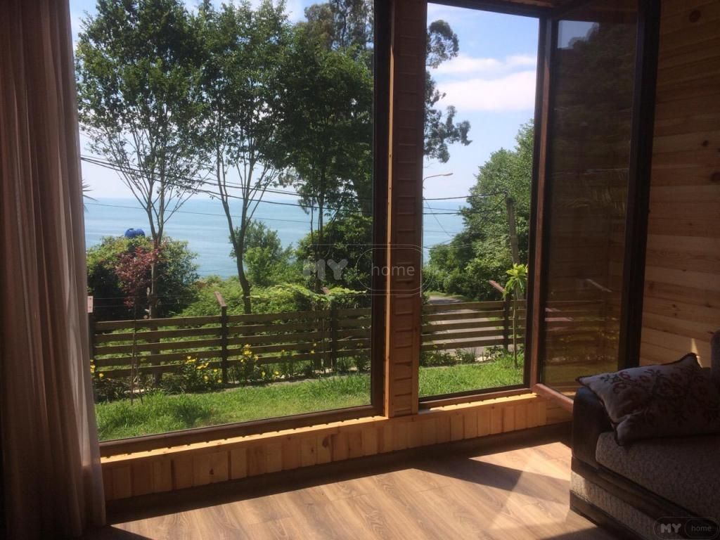 3 Room Country House Daily Rent In Makhinjauri, In Batumi view 11