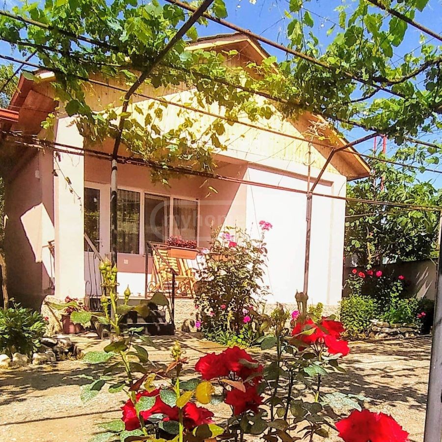 Daily Rent 7 Room Sastumro Ambrolaurshi view 9