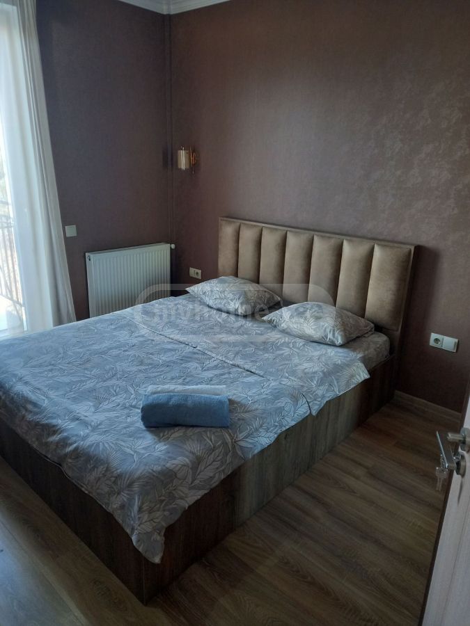 2 Room Apartment Daily Rent In Nadzaladevi view 1