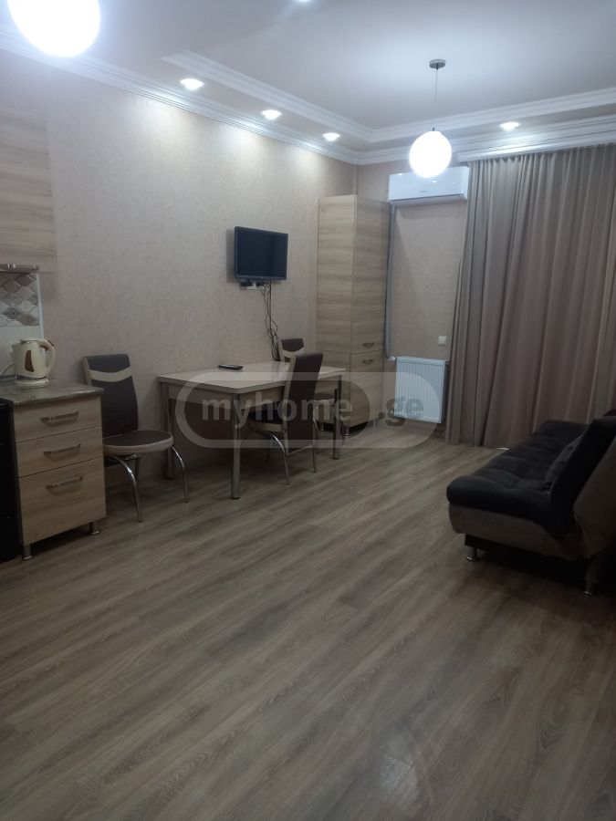 2 Room Apartment Daily Rent In Nadzaladevi view 2