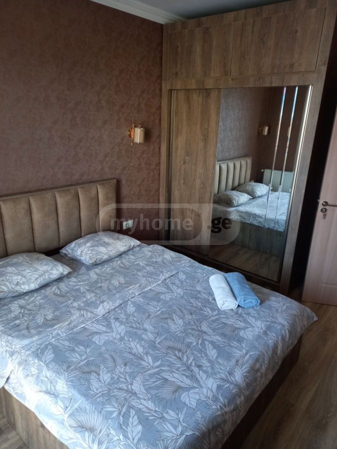 2 Room Apartment Daily Rent In Nadzaladevi view 4