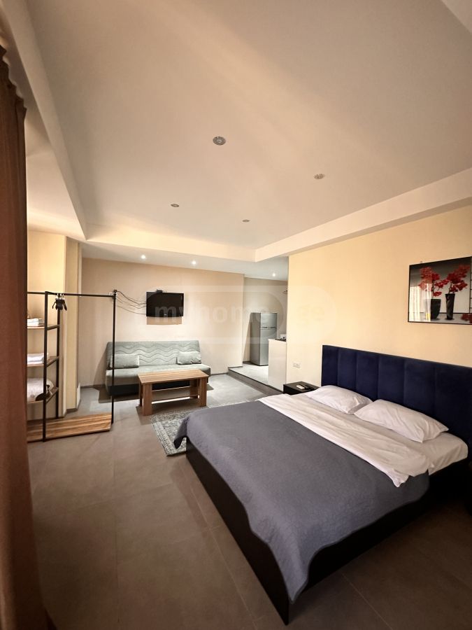 Daily Rent 1 Room Apartment Kutaisshi view 1