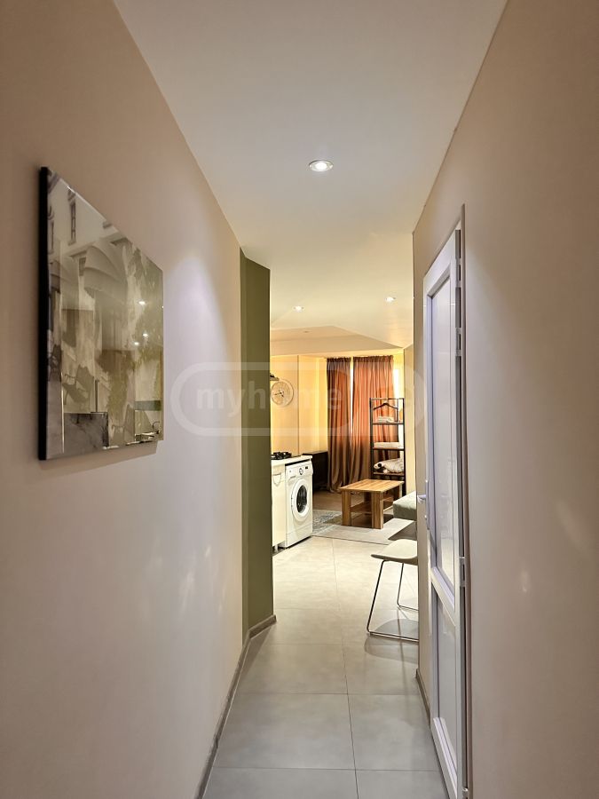 Daily Rent 1 Room Apartment Kutaisshi view 3