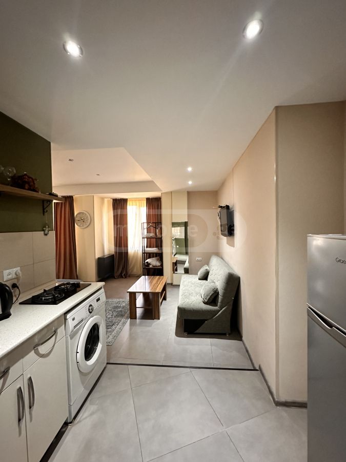 Daily Rent 1 Room Apartment Kutaisshi view 9