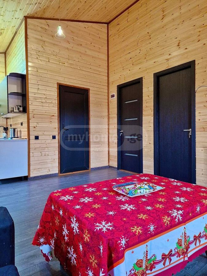3 Room Country House Daily Rent In Mtskheta view 8