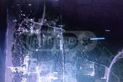 For Sale Sasoplo-Sameurneo Land Plot Ozurgetis Munitsipalitetshi view 1