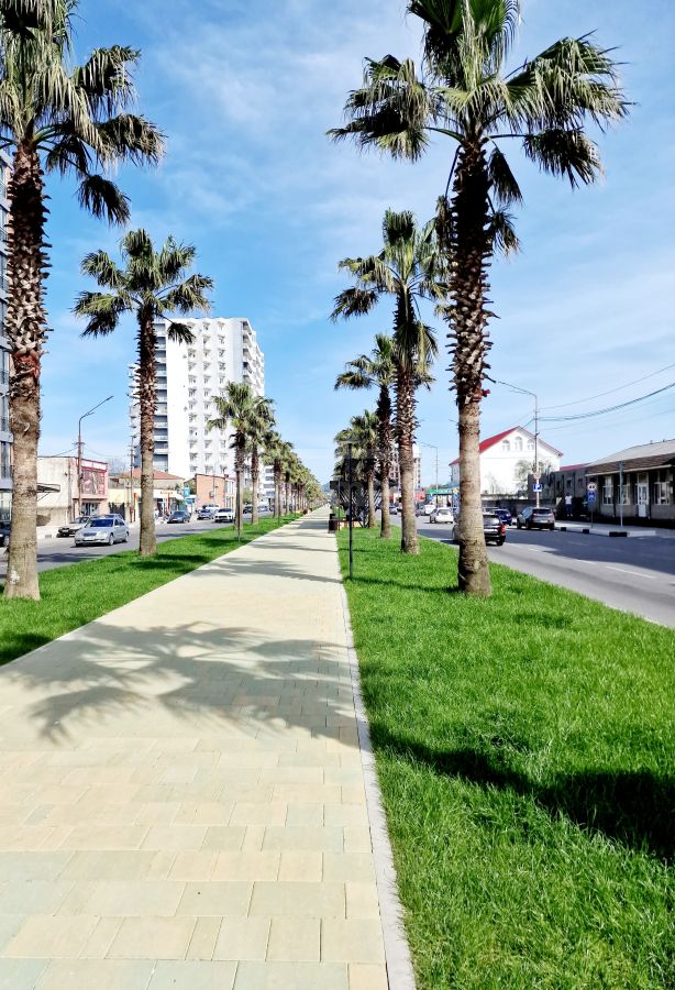 For Rent 3 Room Apartment Kutaisshi view 11