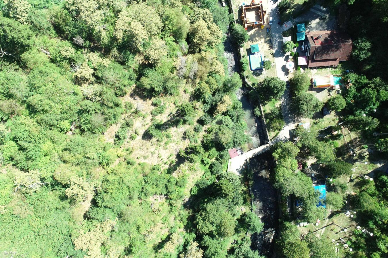 Agricultural Plot For Sale In Ozurgeti Municipality view 4