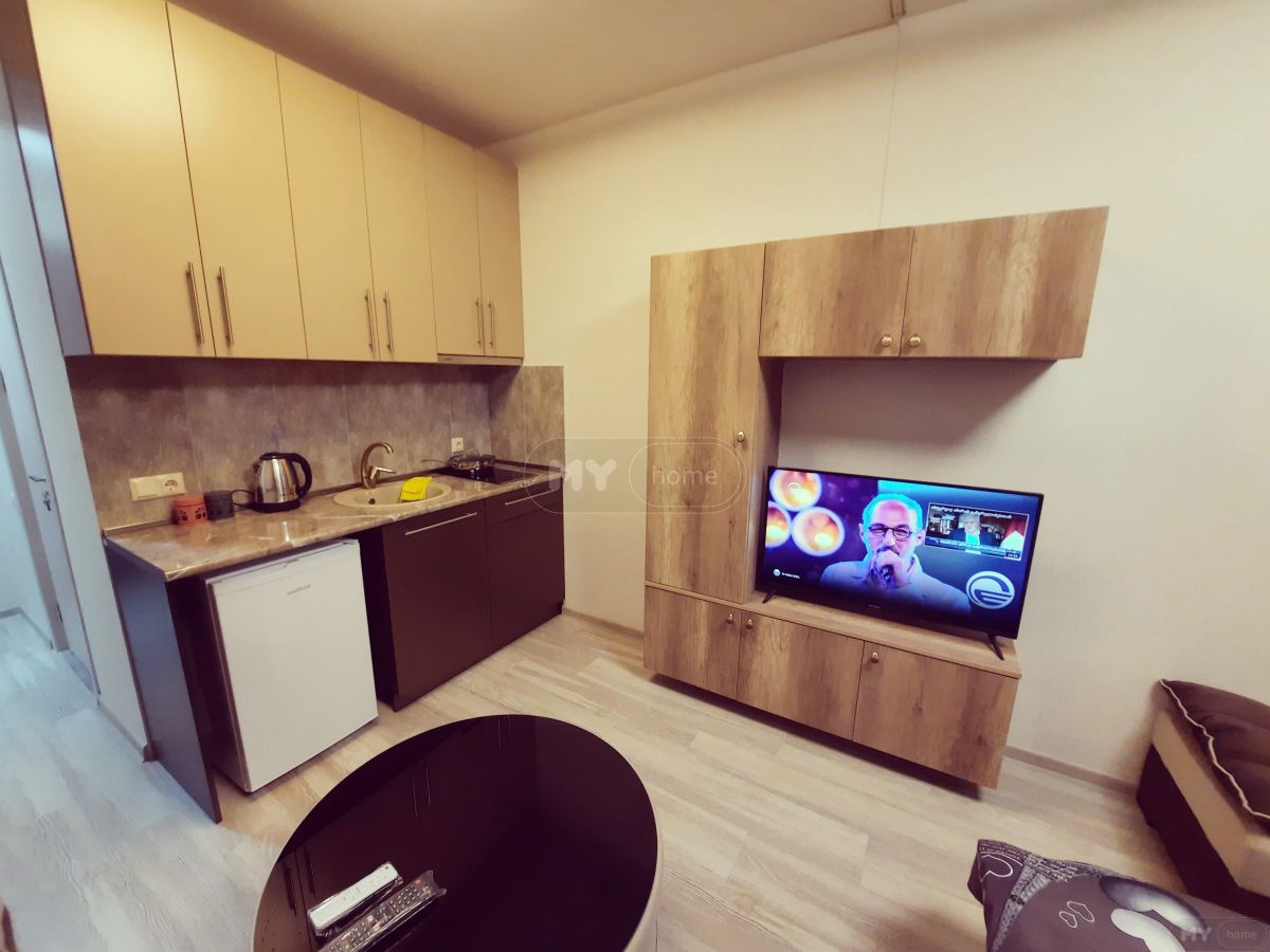 1 Room Apartment Daily Rent In Nadzaladevi view 6