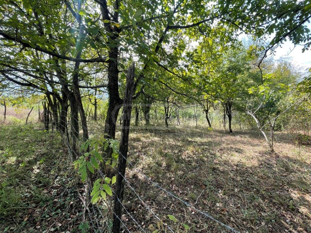 Продажа Земля / участок в Zestaponshi view 3