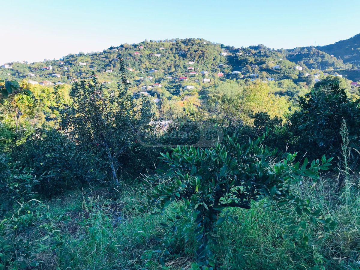 For Sale Ara Sasoplo-Sameurneo Land Plot Kobuletis Munitsipalitetshi view 1