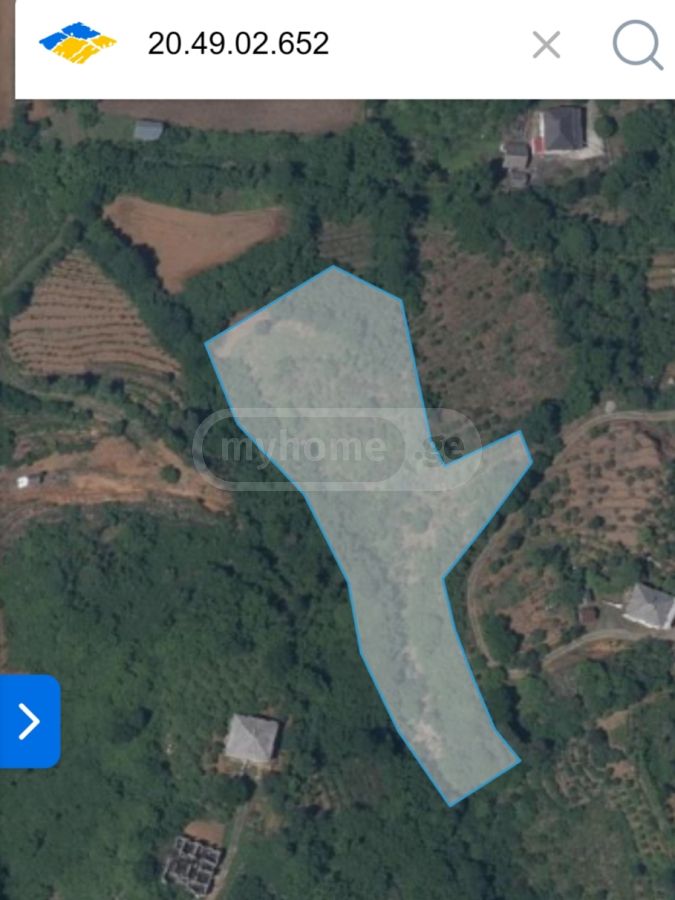For Sale Ara Sasoplo-Sameurneo Land Plot Kobuletis Munitsipalitetshi view 3