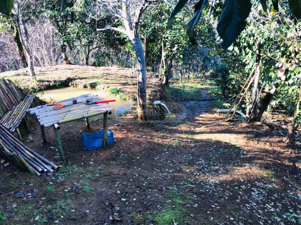 For Sale Ara Sasoplo-Sameurneo Land Plot Kobuletis Munitsipalitetshi view 4