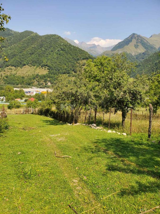 იყიდება Agricultural Plot In Dushetiში view 1