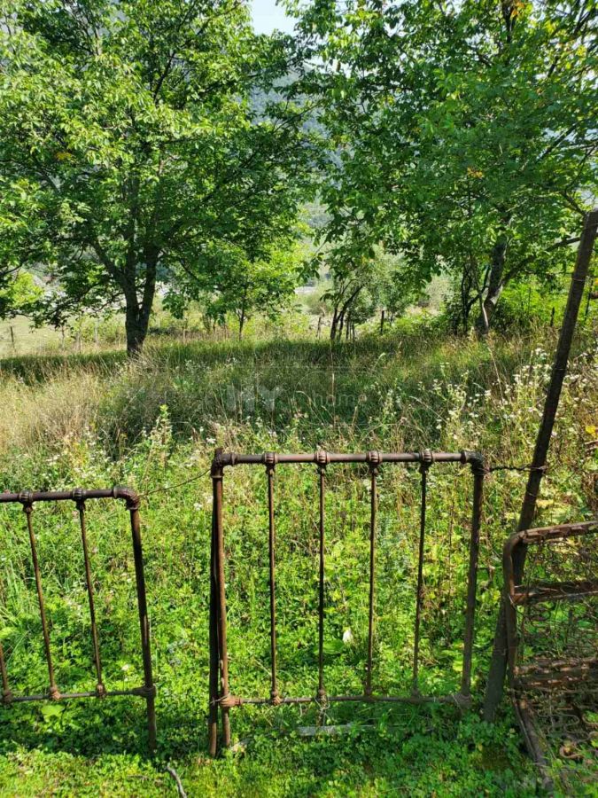 იყიდება Agricultural Plot In Dushetiში view 3