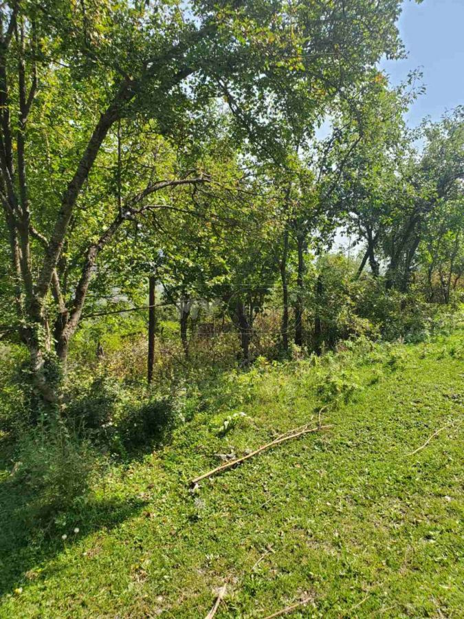 იყიდება Agricultural Plot In Dushetiში view 4