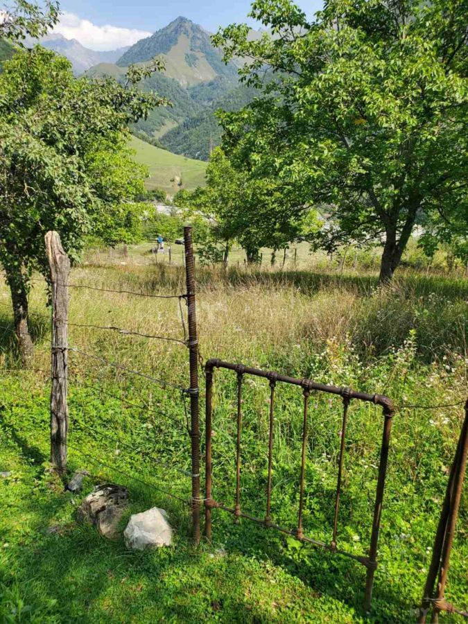 იყიდება Agricultural Plot In Dushetiში view 5