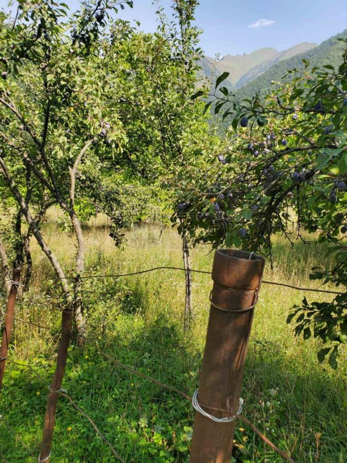 იყიდება Agricultural Plot In Dushetiში view 6