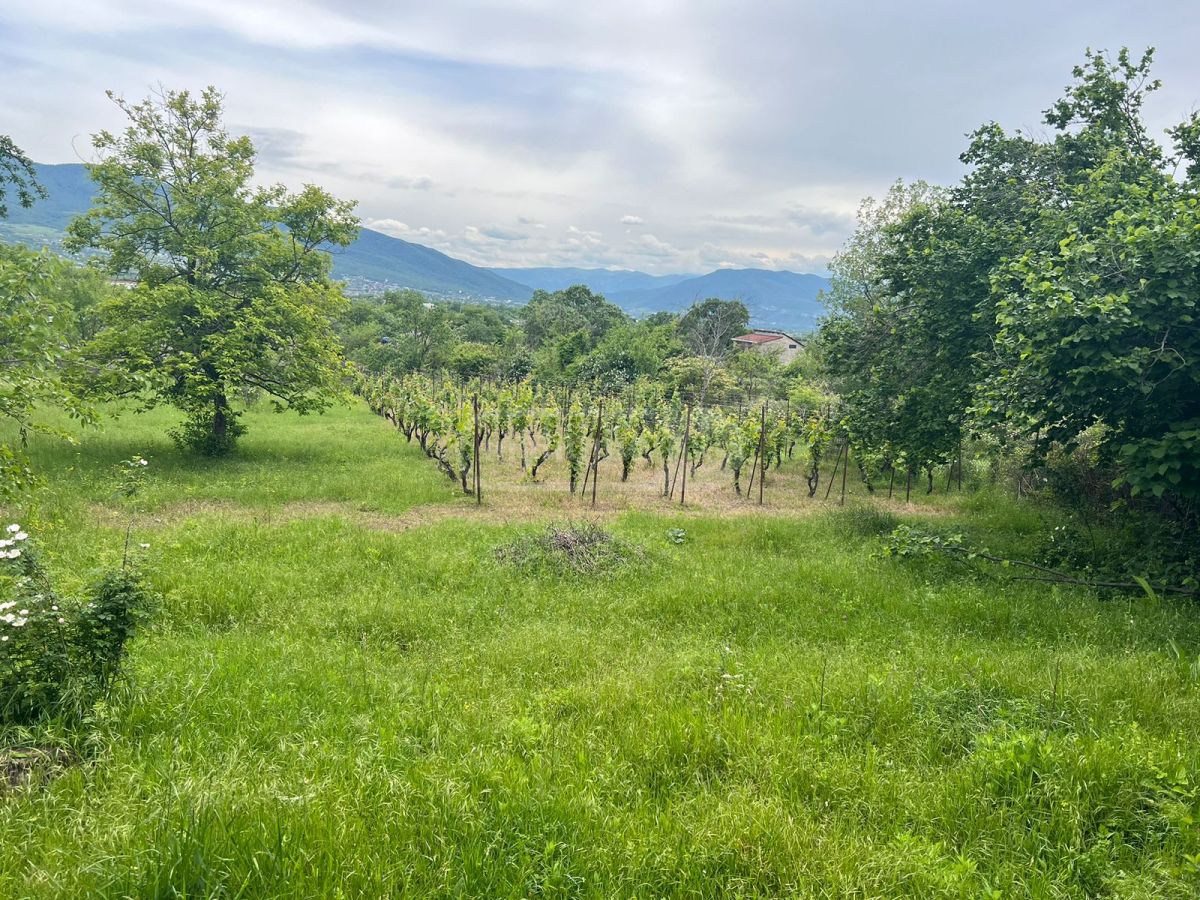 For Sale Sasoplo-Sameurneo Land Plot Mtskhetashi view 1