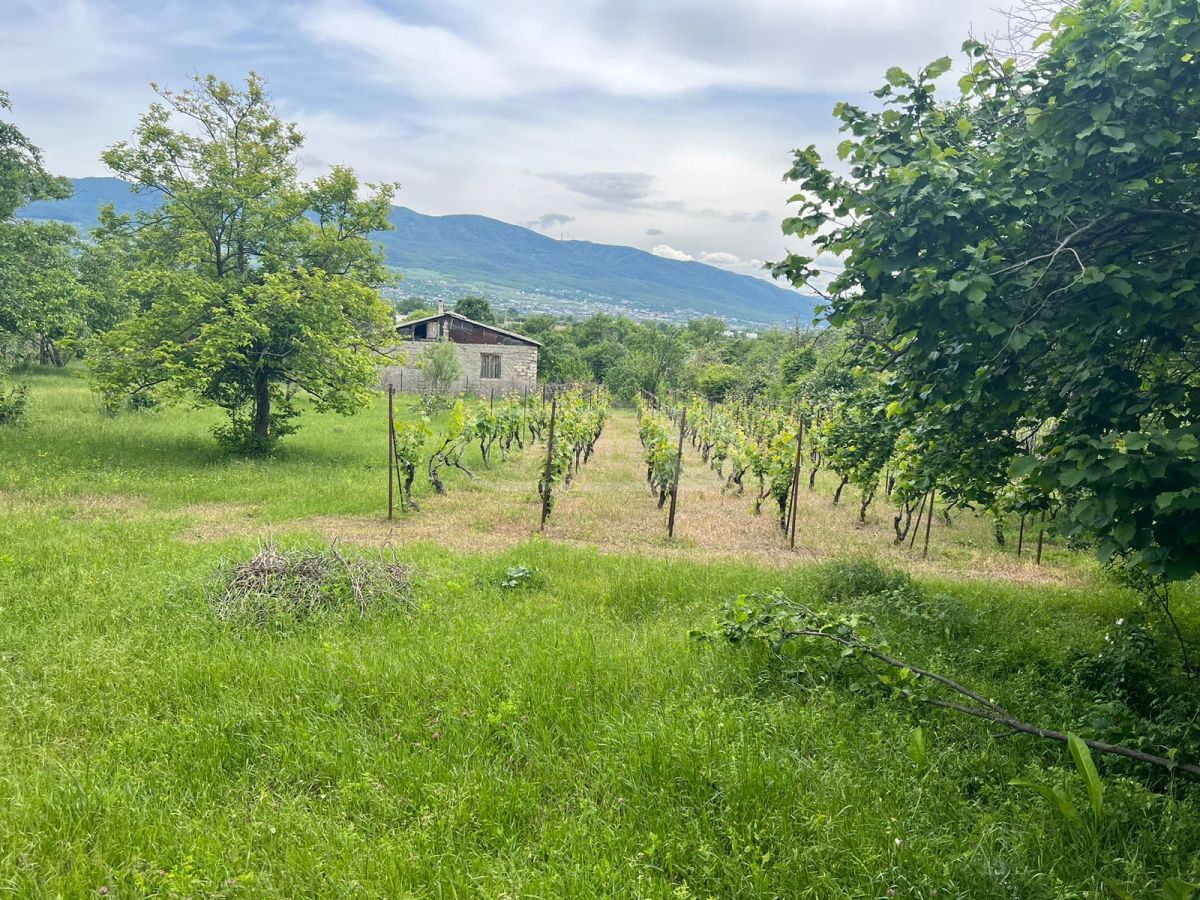 For Sale Sasoplo-Sameurneo Land Plot Mtskhetashi view 4