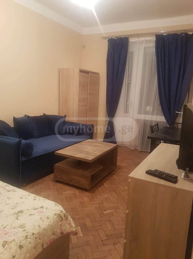 1 Room Apartment For Rent In Vake view 4