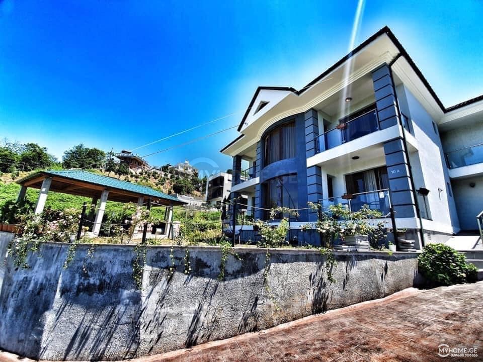 Daily Rent 10+ Room Private House In Batumi view 1