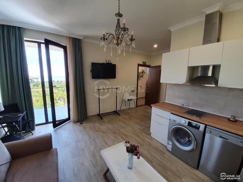 Daily Rent 10+ Room Private House In Batumi view 2