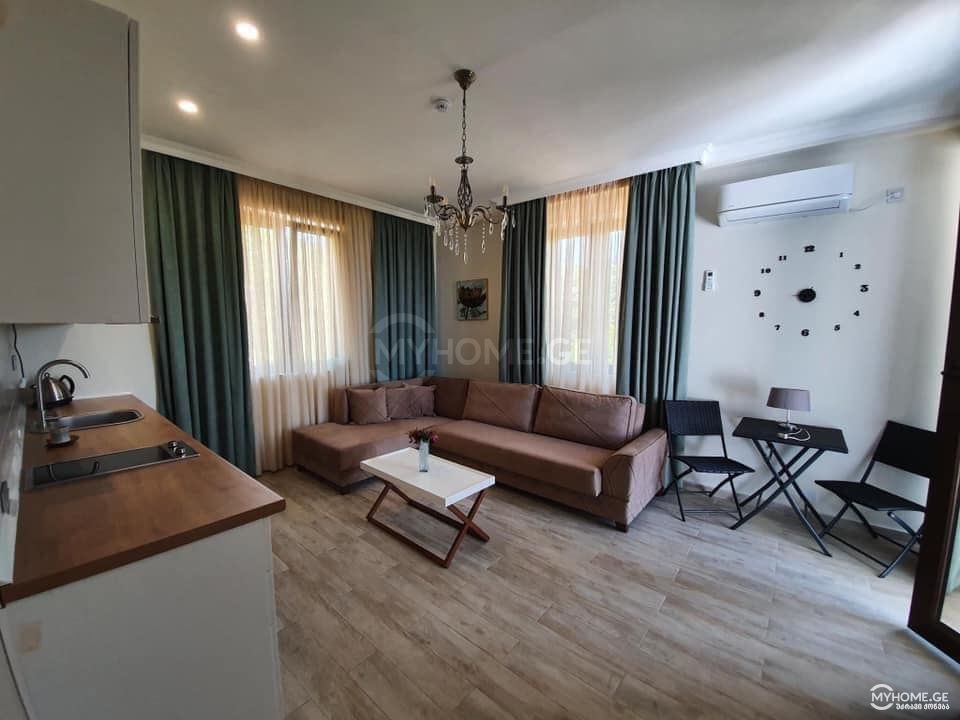Daily Rent 10+ Room Private House In Batumi view 10