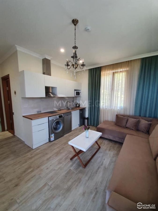 Daily Rent 10+ Room Private House In Batumi view 12