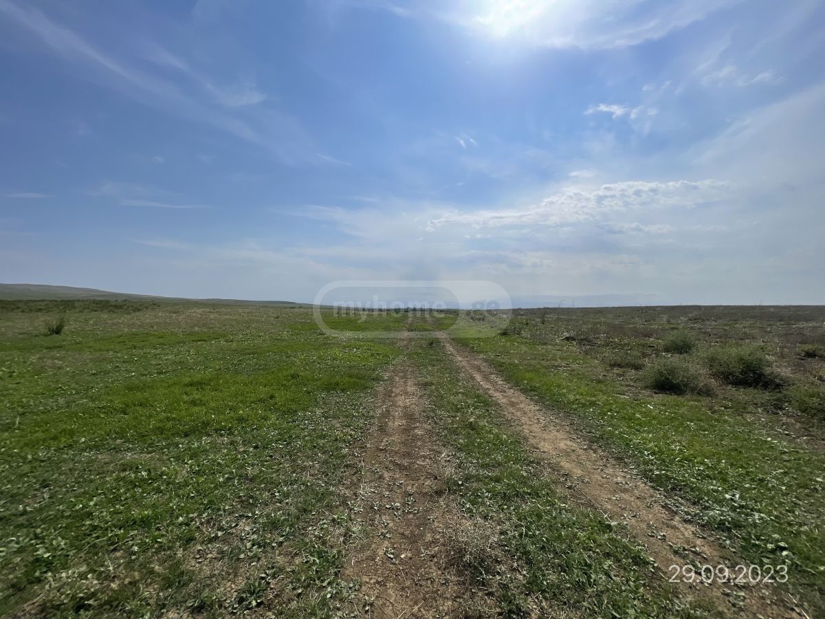 Продажа Земля / участок в Tetritsqaroshi view 2