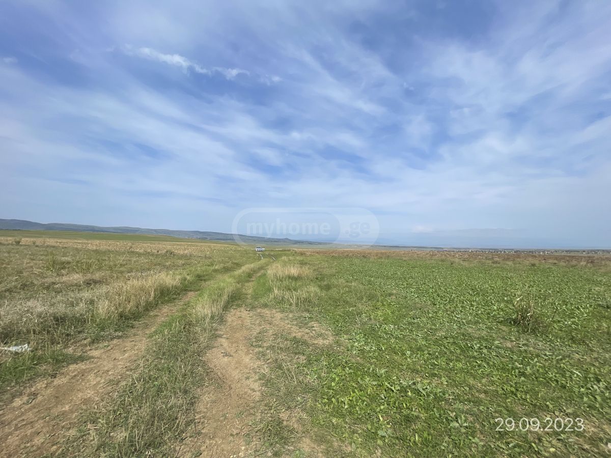 Продажа Земля / участок в Tetritsqaroshi view 3