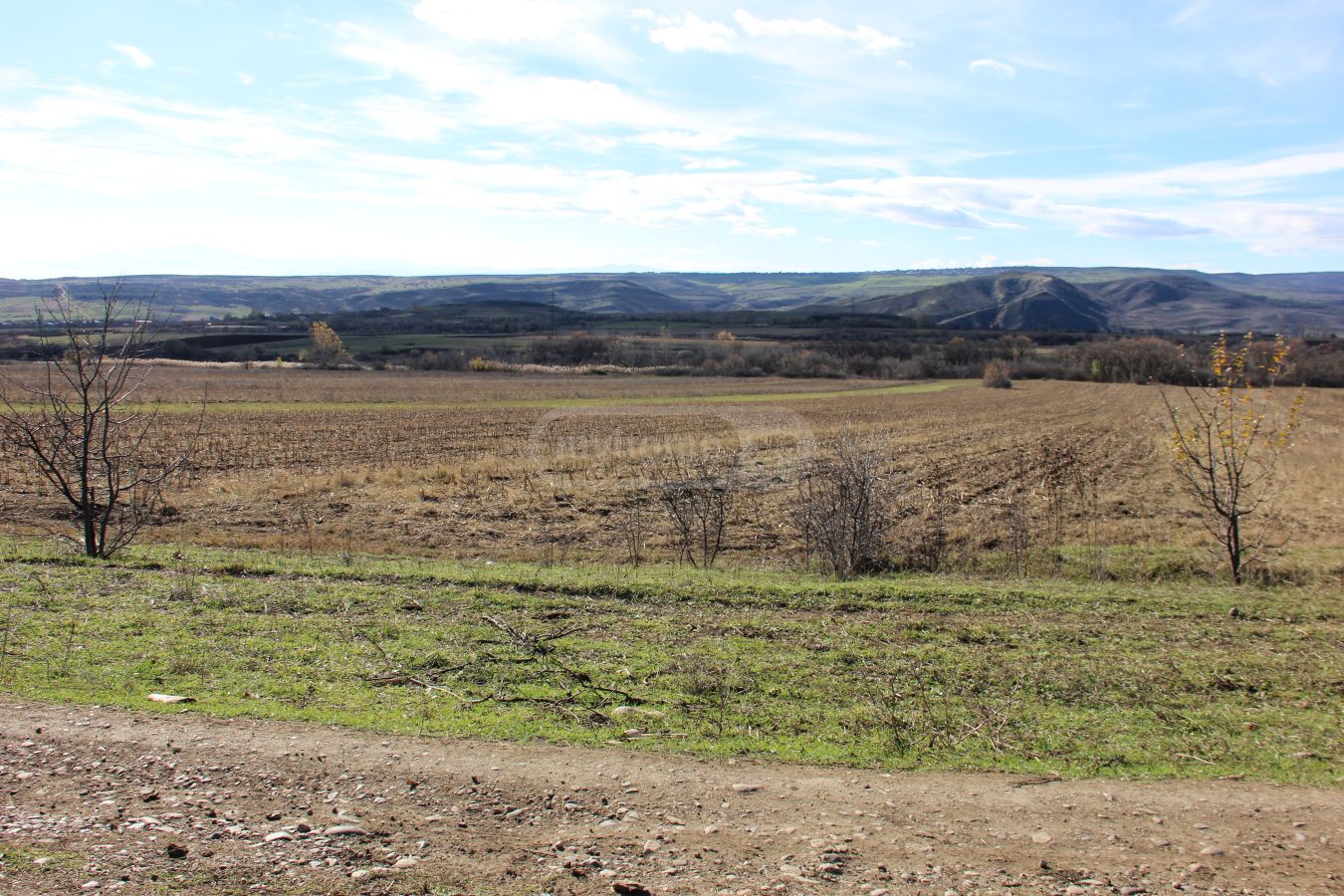 For Sale Sasoplo-Sameurneo Land Plot Tetritsqaros Raionshi view 1