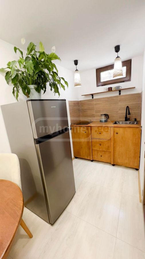 Daily Rent 1 Room Apartment, 6 of 9