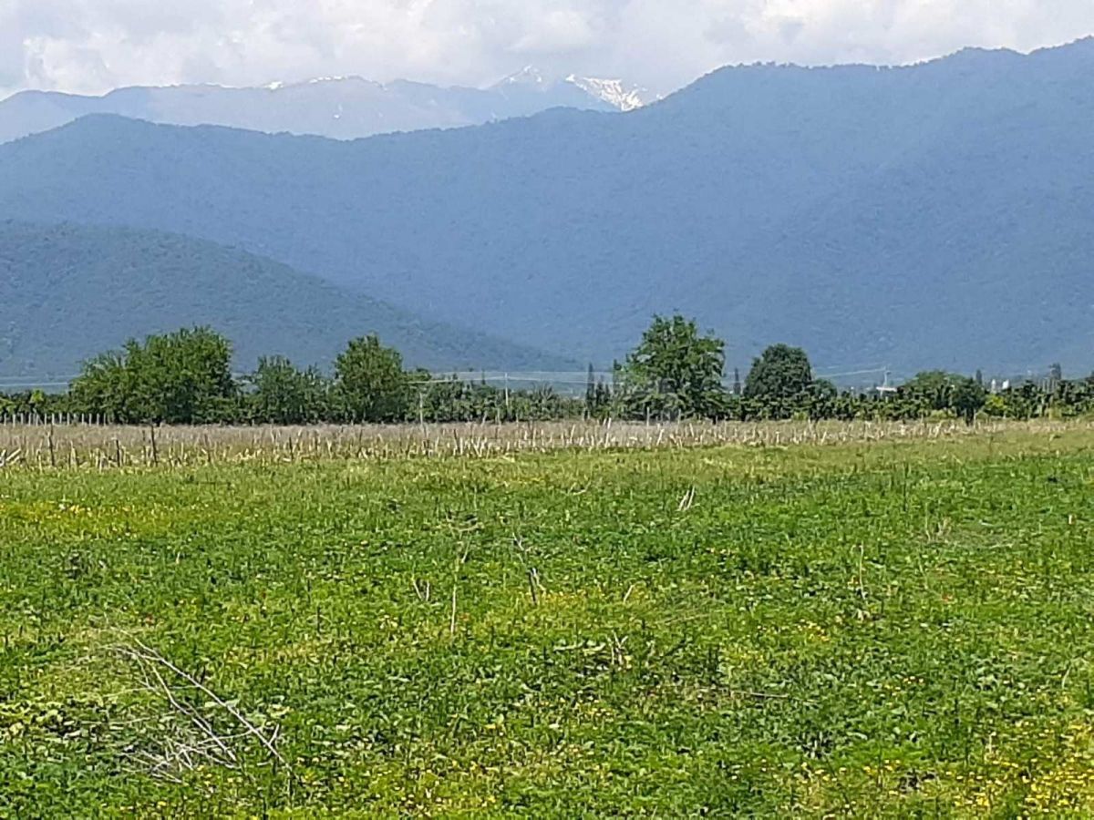იყიდება მიწა / ნაკვეთი Qvarelshiში view 1