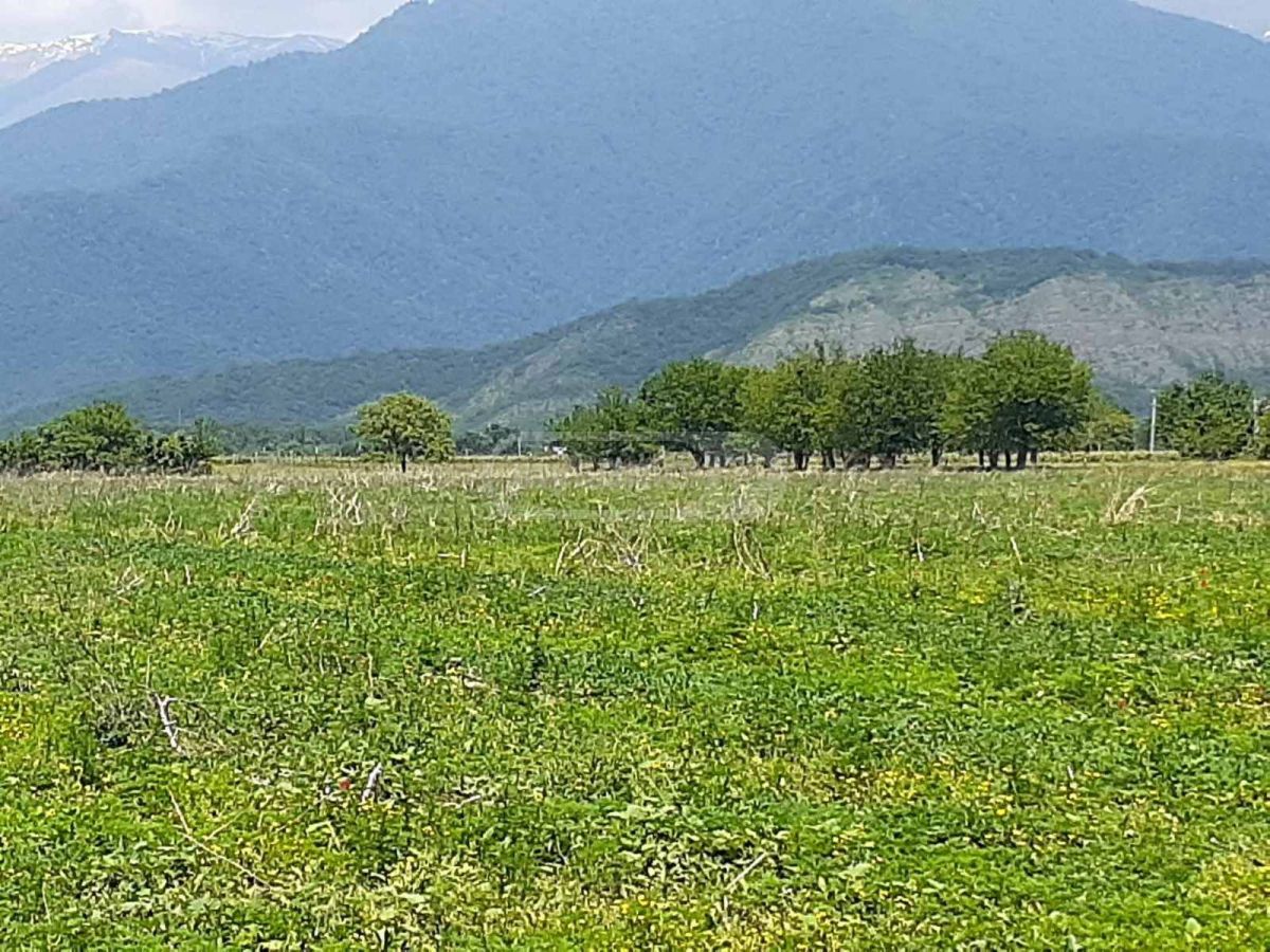 იყიდება მიწა / ნაკვეთი Qvarelshiში view 4