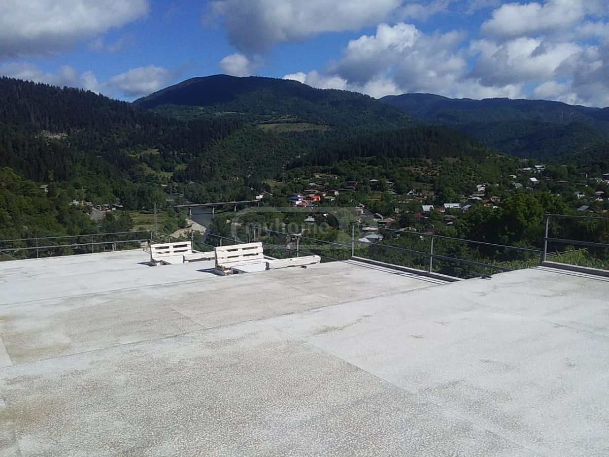 For Sale 5 Room Country House Borjomshi view 5