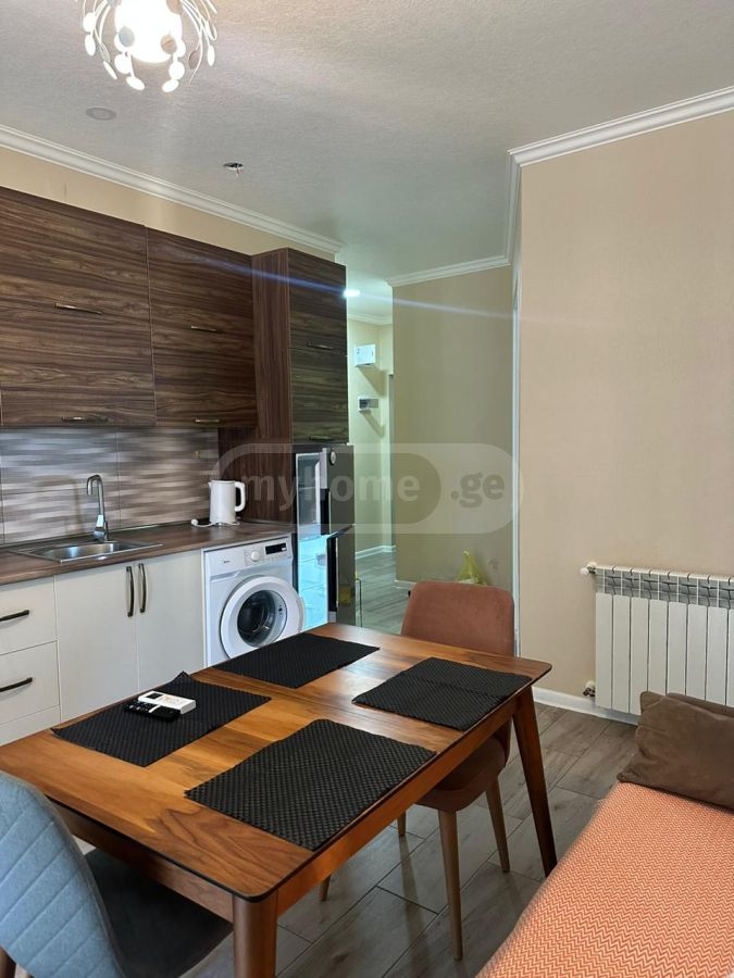 3 Room Flat For Rent. Batumi view 14