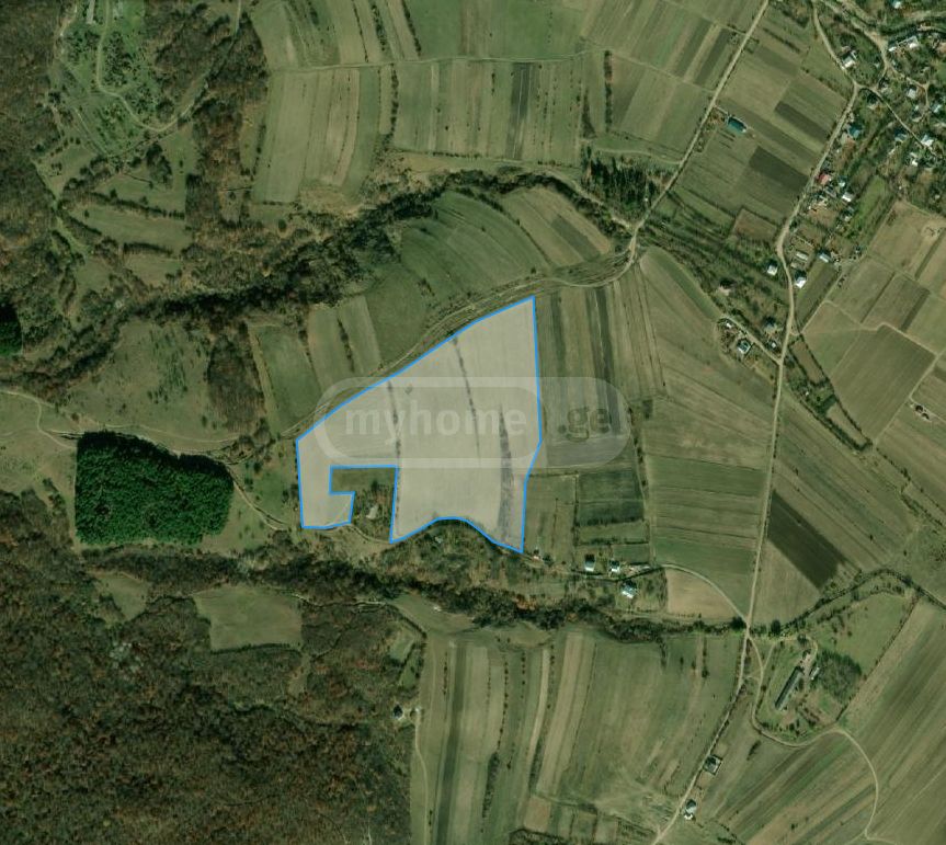 For Sale Ara Sasoplo-Sameurneo Land Plot Dushetis Munitsipalitetshi view 1